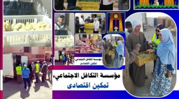 تسليم 410 مشروعات متناهية الصغر لتمكين الأسر اقتصاديًا بالوادي الجديد.. صور