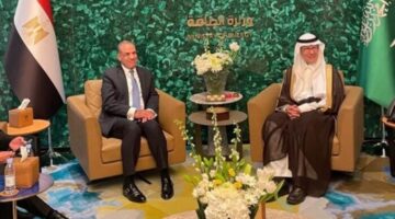 وزير الخارجية يؤكد على أهمية مشروع الربط الكهربائي بين مصر والسعودية