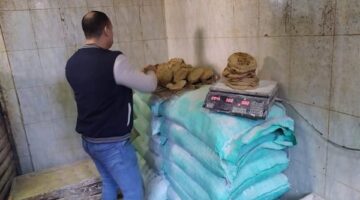 حملات موسعة على مخابز طنطا تضبط مخالفات بالجملة وتحرر 15 محضرًا