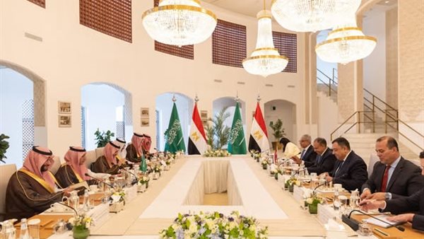 وزير الخارجية يترأس وفد مصر في أعمال لجنة المتابعة والتشاور السياسي مع السعودية وزير الخارجية يترأس وفد مصر في أعمال لجنة المتابعة والتشاور السياسي مع السعودية