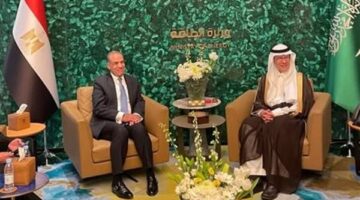تفاصيل لقاء وزير الخارجية والهجرة بوزير الطاقة السعودي