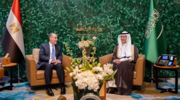 مباحثات سعودية مصرية في مجالات الطاقة