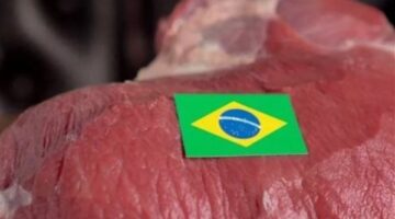 عضو بدار الإفتاء الليبية: اكتشافنا ثغرات في متطلبات الذبح الحلال ببعض مذابح البرازيل