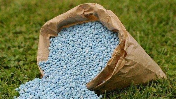 مشروعات إيطالية جديدة في السوق المصري مشروعات إيطالية جديدة في السوق المصري