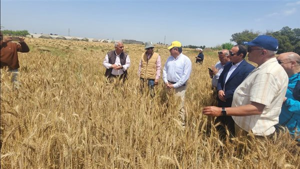 تعاون استراتيجي بين "البحوث الزراعية" والقطاع الخاص لتعزيز البحث والتطوير الزراعي تعاون استراتيجي بين "البحوث الزراعية" والقطاع الخاص لتعزيز البحث والتطوير الزراعي