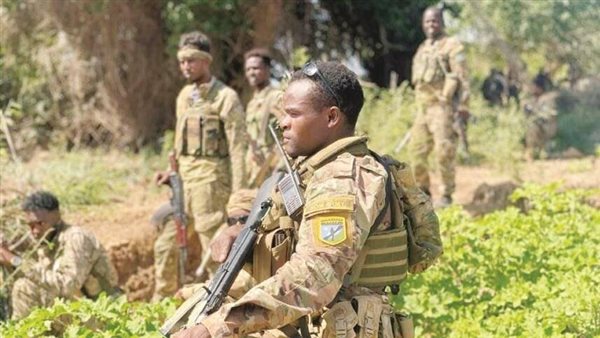 الصومال: مقتل عناصر من مليشيات "الشباب" في عملية عسكرية بمحافظة شبيلى الوسطى الصومال: مقتل عناصر من مليشيات "الشباب" في عملية عسكرية بمحافظة شبيلى الوسطى