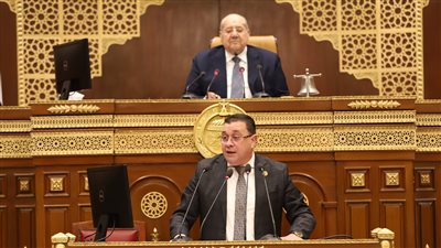 النائب هشام الحاج علي يستعرض طلبه أمام الشيوخ بشأن تطوير الأصول العقارية لقطاع الأعمال العام في تنمية ودعم الاقتصاد الوطني النائب هشام الحاج علي يستعرض طلبه أمام الشيوخ بشأن تطوير الأصول العقارية لقطاع الأعمال العام في تنمية ودعم الاقتصاد الوطني