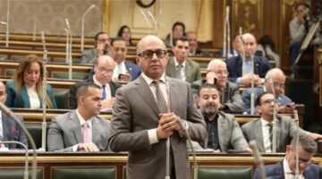 في طلب رسمي، النائب هشام حسين يدعو إلى إيجاد حلول شاملة لمشاكل تنسيق رياض الأطفال في المدارس التجريبية.