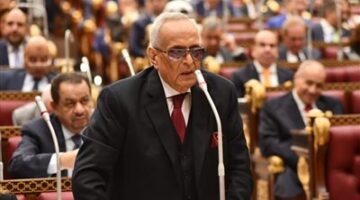 وكيل الشيوخ يدعو إلى تشريع متكامل للتحكيم لضمان العدالة الفورية وإزالة العوائق.