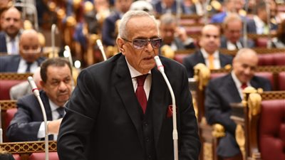 وكيل الشيوخ: مشروع التنمية الاقتصادية هو تجسيد حقيقي للإرادة الجادة في تطوير الوطن وليس مجرد أرقام. وكيل الشيوخ: مشروع التنمية الاقتصادية هو تجسيد حقيقي للإرادة الجادة في تطوير الوطن وليس مجرد أرقام.