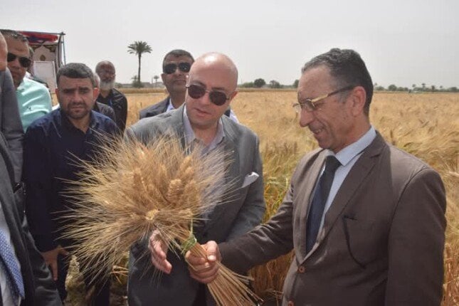بني سويف تطلق موسم حصاد القمح بـ 108 آلاف فدان وتستهدف الاكتفاء الذاتي بني سويف تطلق موسم حصاد القمح بـ 108 آلاف فدان وتستهدف الاكتفاء الذاتي