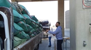 شون وصوامع المنيا تستقبل 25845 طن قمح