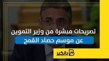 تصريحات مبشرة من وزير التموين عن موسم حصاد القمح | إنفوجراف