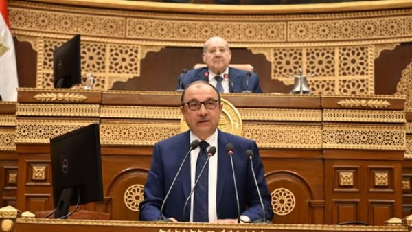 وزير قطاع الأعمال أمام الشيوخ: نعمل على ضخ دماء جديدة وهيكلة شاملة لتعزيز التنافسية وزير قطاع الأعمال أمام الشيوخ: نعمل على ضخ دماء جديدة وهيكلة شاملة لتعزيز التنافسية