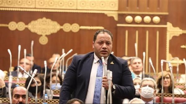 النائب مصطفى سالمان: قطاع الأعمال العام أحد الأعمدة المهمة في الاقتصاد الوطني النائب مصطفى سالمان: قطاع الأعمال العام أحد الأعمدة المهمة في الاقتصاد الوطني