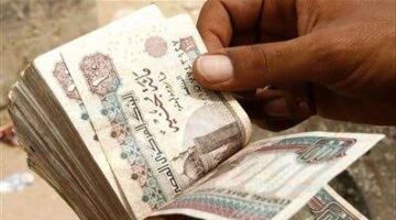 الرقابة المالية: 5.5 مليار جنيه تمويلات لشراء سلع استهلاكية خلال يناير