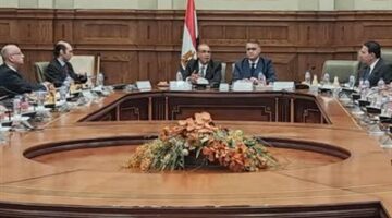 وزير الخارجية من البرلمان: أمامنا طريق طويل لتفكيك الصورة الخاطئة والمؤامرة التي تواجه مصر