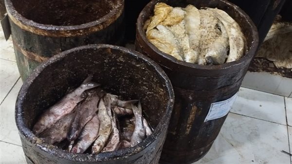 ضبط ٤١٥ كيلو فسيخ وأسماك مملحة غير صالحة للاستهلاك ومجهولة المصدربالاسكندرية ضبط ٤١٥ كيلو فسيخ وأسماك مملحة غير صالحة للاستهلاك ومجهولة المصدربالاسكندرية