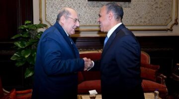 وزير الخارجية يلتقى مع رئيس مجلس الشيوخ