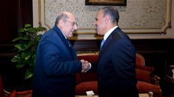 وزير الخارجية يلتقى مع رئيس مجلس الشيوخ|صور