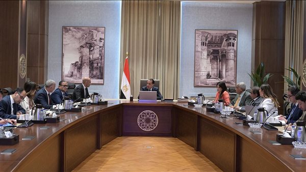 مدبولي يبحث سبل تعزيز الشراكة مع القطاع الخاص في ملف المدارس الفنية المتخصصة مدبولي يبحث سبل تعزيز الشراكة مع القطاع الخاص في ملف المدارس الفنية المتخصصة