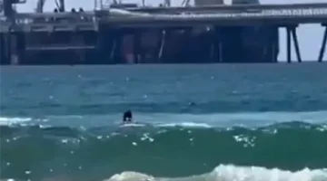 جثمانه مفقود.. غواص إسرائيلي يلقى حتفه بعد هجوم لسمكة قرش