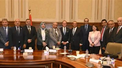 وزير الخارجية أمام حقوق الشيوخ.. ويؤكد: مصر ملتزمة بحقوق الشعب الفلسطيني وزير الخارجية أمام حقوق الشيوخ.. ويؤكد: مصر ملتزمة بحقوق الشعب الفلسطيني