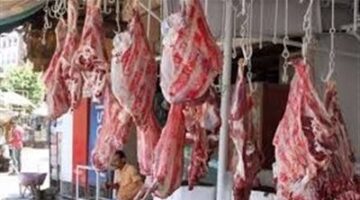 الثروة الحيوانية: انخفاض أسعار اللحوم مع حلول عيد الأضحى المبارك