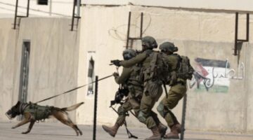 كلاب مُدربة من هولندا.. وسيلة إسرائيل الجديدة لتعذيب الفلسطينيين | شهادات من الجحيم