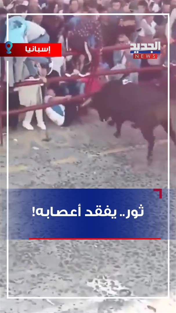 "ثور".. يفقد أعصابه! (فيديو) "ثور".. يفقد أعصابه! (فيديو)