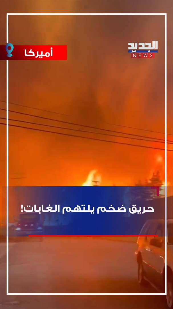 حريق ضخم يلتهم الغابات! (فيديو) حريق ضخم يلتهم الغابات! (فيديو)