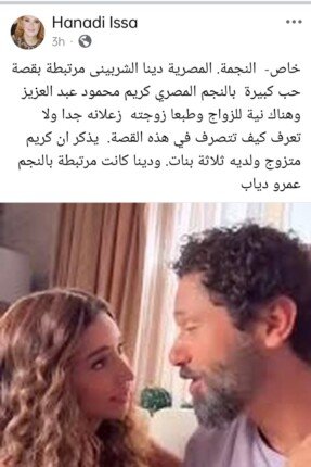 ارتباط أم دعاية؟.. حقيقة زواج دينا الشربيني وكريم محمود عبد العزيز