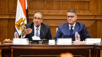 وزير الخارجية  يلتقي مع رئيس مجلس الشيوخ