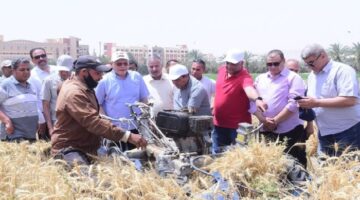 جامعة سوهاج تبدأ حصاد تقاوي القمح على مساحة 22 فدانًا لدعم الاكتفاء المحلي