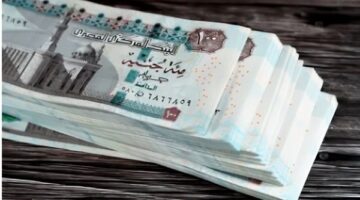 موعد زيادة المرتبات 2025.. حكومي وخاص