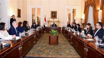 وزير الخارجية: جذب الاستثمارات الخارجية المباشرة يشكل أولوية قصوى للحكومة المصرية