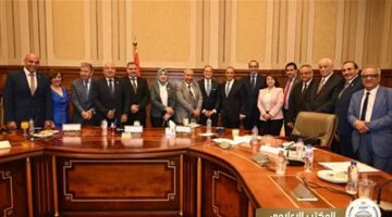 المستشار محمود فوزي: التنسيق وتقسيم الأدوار والعمل الدءوب سبب نجاح مصر في عرض ملفها أمام المجتمع الدولي