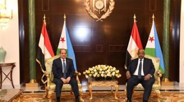 «تشكيل حكومة موازية في السودان مرفوض».. أبرز رسائل الرئيس السيسي خلال لقاء مع نظيره الجيبوتي