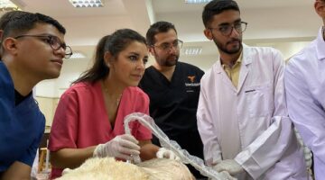 رئيس جامعة سوهاج: برنامج إيراسموس يفتح أفاقا جديدة للتعاون البحثي مع إسبانيا