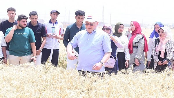 جامعة سوهاج تبدأ حصاد تقاوي القمح بمزرعتها التدريبية جامعة سوهاج تبدأ حصاد تقاوي القمح بمزرعتها التدريبية