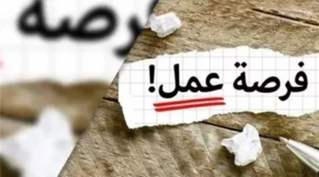 وظائف سائقين ومندوب توصيل في محافظات مصر.. تعرف عليهم