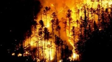 استمرار حريق الغابات في ولاية نيوجيرسي الأمريكية.. وفرق الإطفاء تواصل جهودها للسيطرة