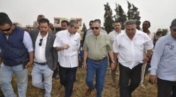محافظ بورسعيد يشهد حصاد محصول القمح بقرية قبلي ناصر