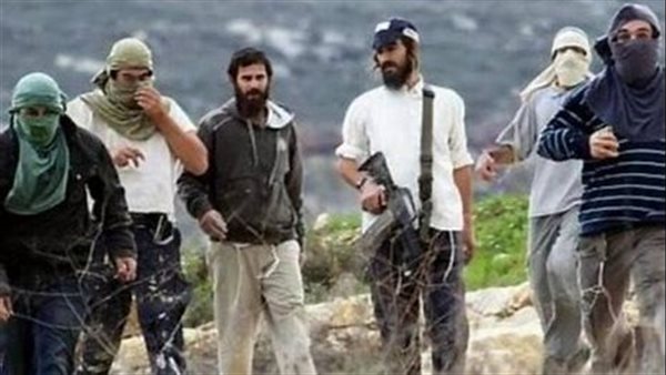 إصابة 3 فلسطينيين بالرصاص في هجوم للمستوطنين على قرية بالأغوار الشمالية إصابة 3 فلسطينيين بالرصاص في هجوم للمستوطنين على قرية بالأغوار الشمالية