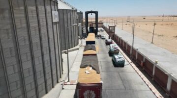 أخبار الوادي الجديد| توريد 54 ألف طن قمح.. والتعليم  يحصد مركزين في التصوير الفني