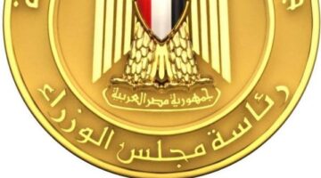 معلومات الوزراء يستعرض أبرز المعلومات الخاصة بمشروع حماية الشواطئ الجاري تنفيذه بالإسكندرية