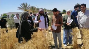 تزامنًا مع احتفالات أعياد سيناء.. مركز بحوث الصحراء يقود نهضة زراعية وتنموية متكاملة في المحافظة.. مشروعات زراعية.. وتعاون دولي لتعزيز التنمية المستدامة على أرض الفيروز