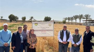 مركز بحوث الصحراء يقود نهضة زراعية وتنموية متكاملة في سيناء