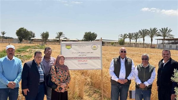مركز بحوث الصحراء يقود نهضة زراعية وتنموية متكاملة في سيناء مركز بحوث الصحراء يقود نهضة زراعية وتنموية متكاملة في سيناء