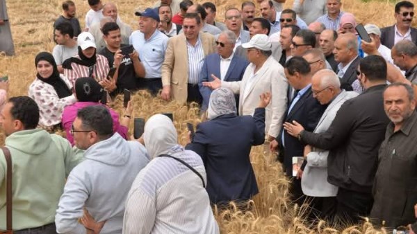 انطلاق موسم حصاد القمح بمحافظة الدقهلية موسم 2025 .. تفاصيل انطلاق موسم حصاد القمح بمحافظة الدقهلية موسم 2025 .. تفاصيل